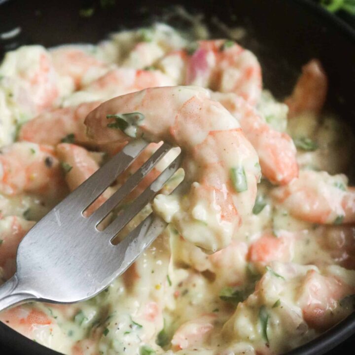 shrimp salad with a shrimp in a fork.