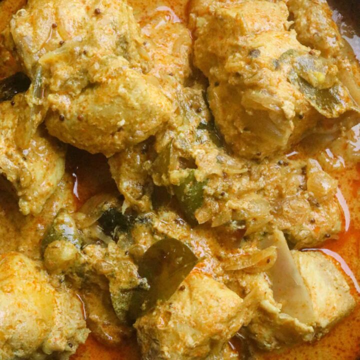 kerala fish curry with a spiced coconut milk gravy.