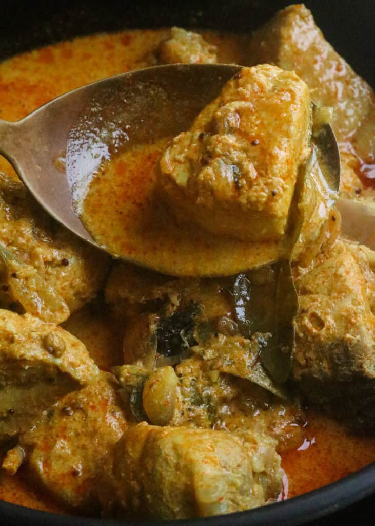 kerala fish curry scooped with a spoon.