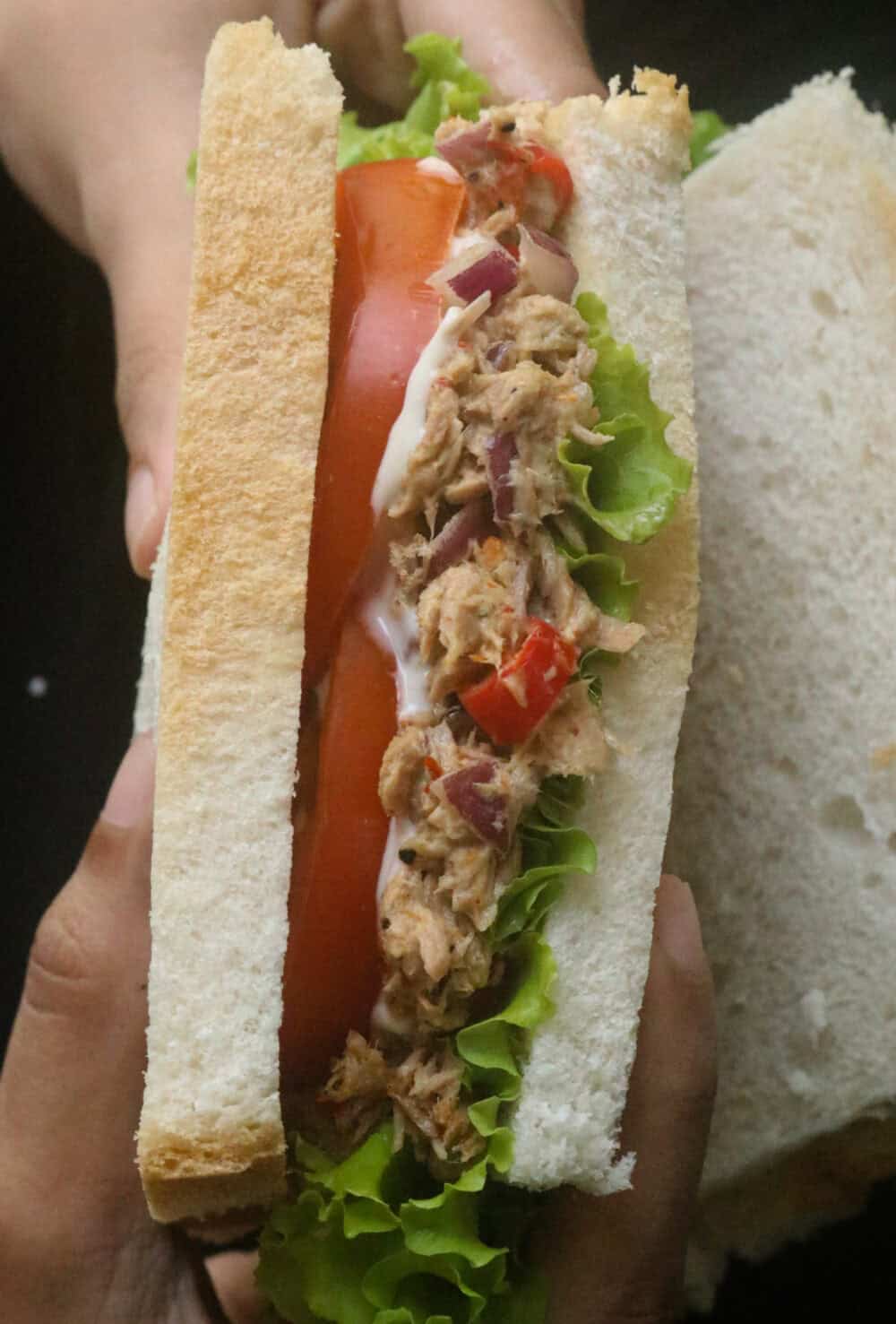 holding a spicy tuna sandwich with a layer of tomato and lettuce.